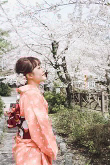Sakura